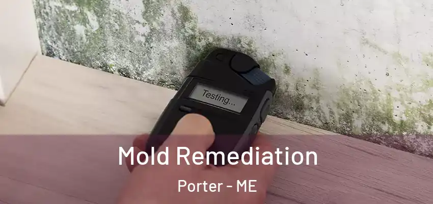 Mold Remediation Porter - ME
