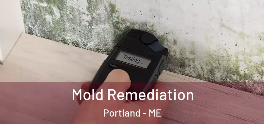 Mold Remediation Portland - ME