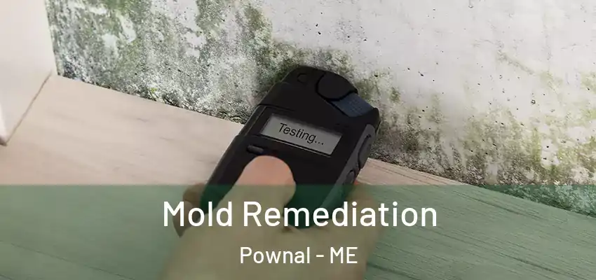 Mold Remediation Pownal - ME