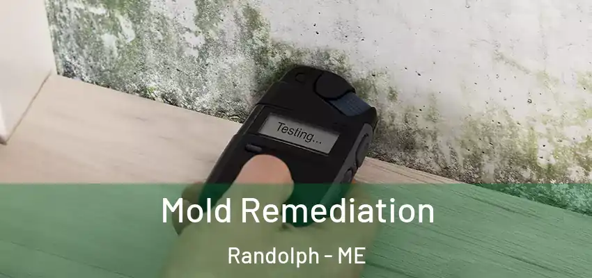 Mold Remediation Randolph - ME