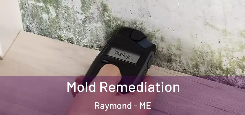 Mold Remediation Raymond - ME