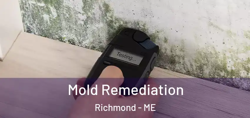 Mold Remediation Richmond - ME