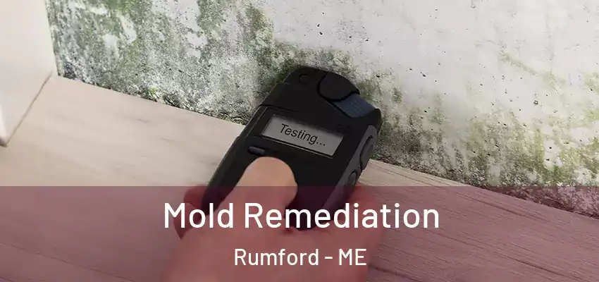 Mold Remediation Rumford - ME