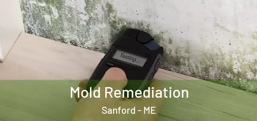  Mold Remediation Sanford - ME