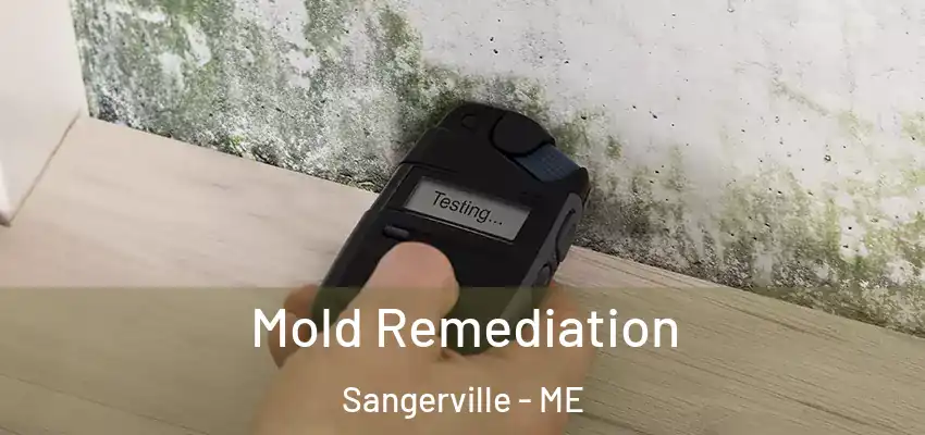 Mold Remediation Sangerville - ME