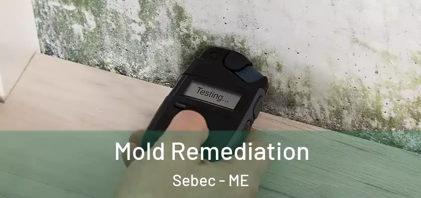 Mold Remediation Sebec - ME