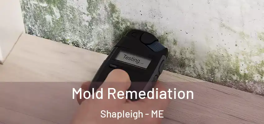  Mold Remediation Shapleigh - ME
