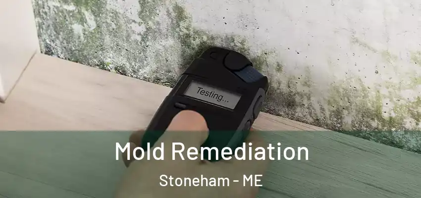  Mold Remediation Stoneham - ME