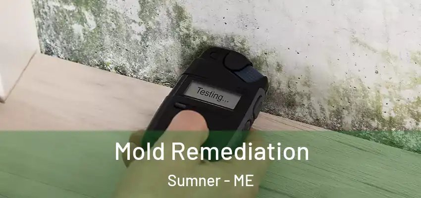  Mold Remediation Sumner - ME