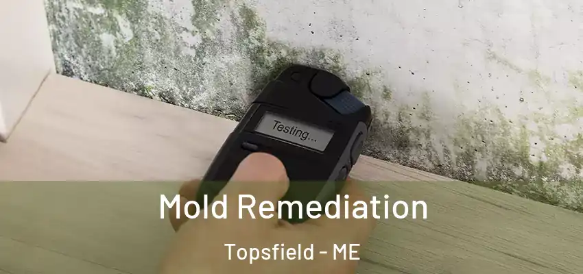 Mold Remediation Topsfield - ME