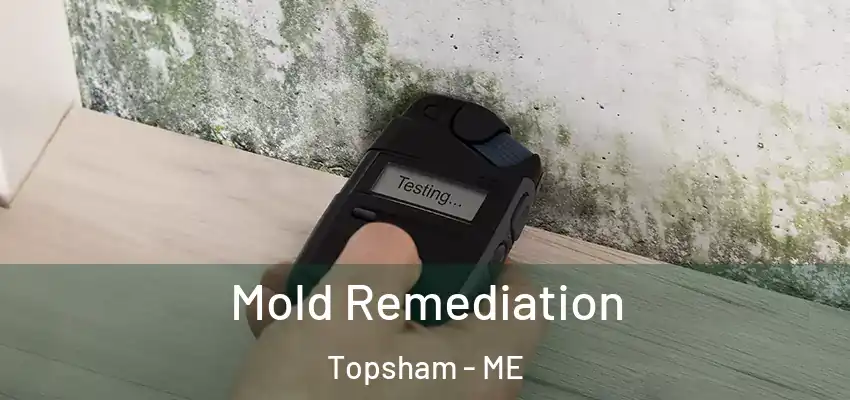  Mold Remediation Topsham - ME