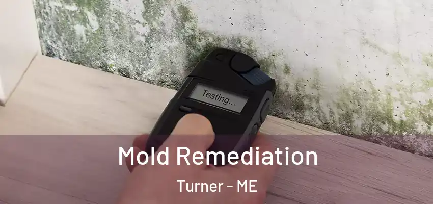  Mold Remediation Turner - ME
