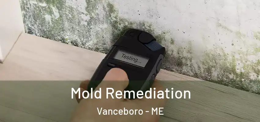 Mold Remediation Vanceboro - ME