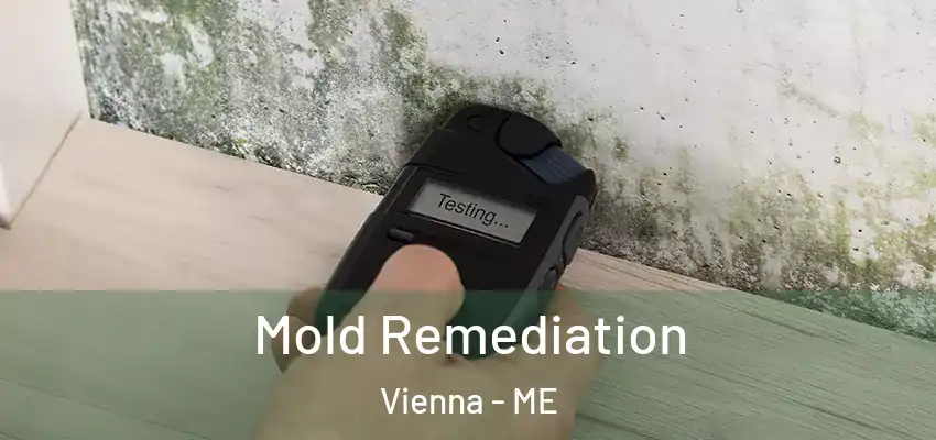 Mold Remediation Vienna - ME