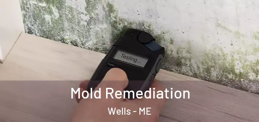 Mold Remediation Wells - ME