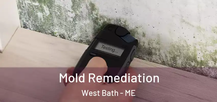  Mold Remediation West Bath - ME