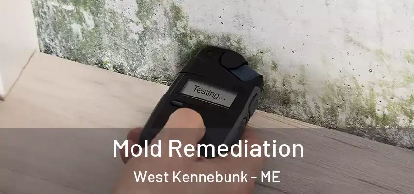  Mold Remediation West Kennebunk - ME