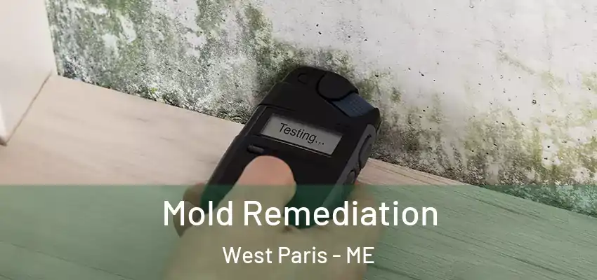  Mold Remediation West Paris - ME