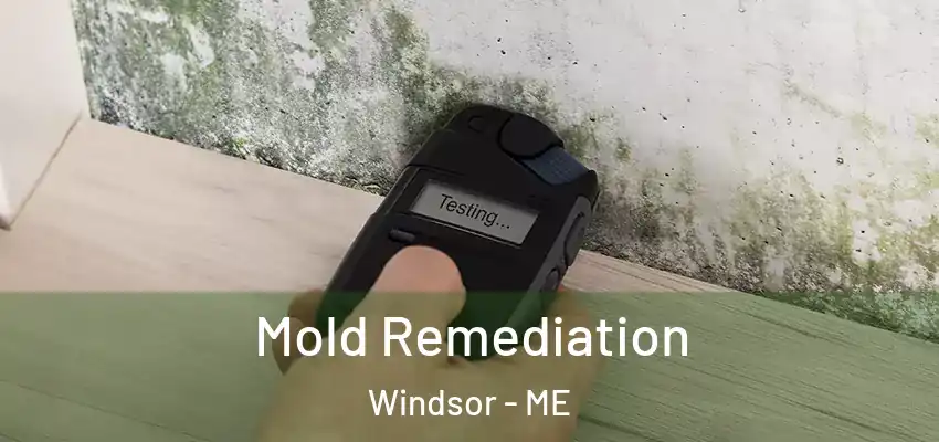  Mold Remediation Windsor - ME