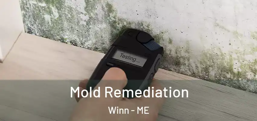 Mold Remediation Winn - ME