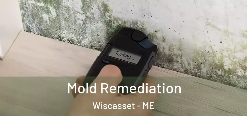 Mold Remediation Wiscasset - ME