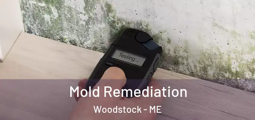 Mold Remediation Woodstock - ME