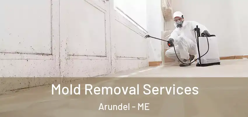  Mold Removal Services Arundel - ME