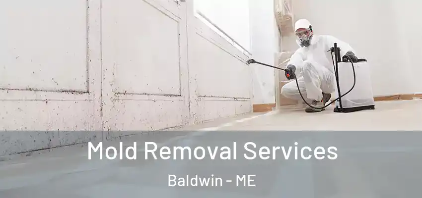  Mold Removal Services Baldwin - ME