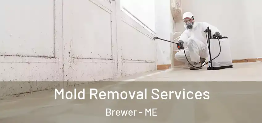  Mold Removal Services Brewer - ME