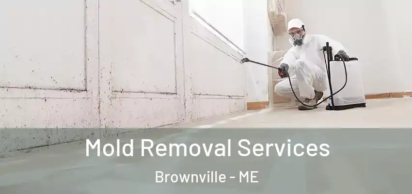  Mold Removal Services Brownville - ME