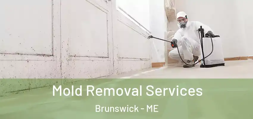 Mold Removal Services Brunswick - ME