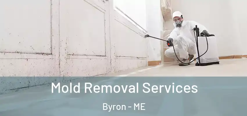  Mold Removal Services Byron - ME