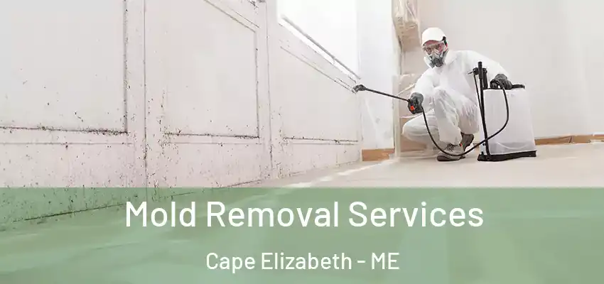 Mold Removal Services Cape Elizabeth - ME