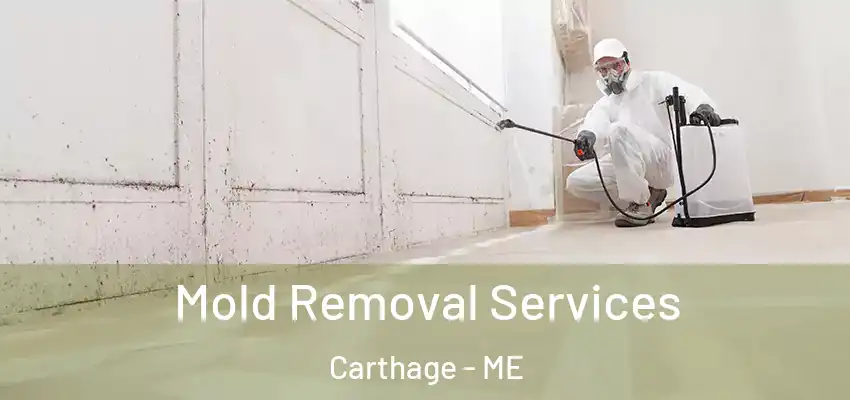  Mold Removal Services Carthage - ME