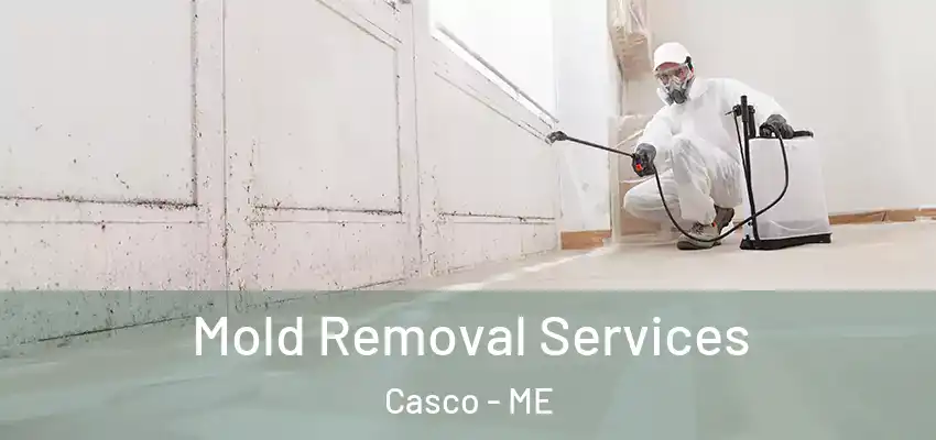  Mold Removal Services Casco - ME