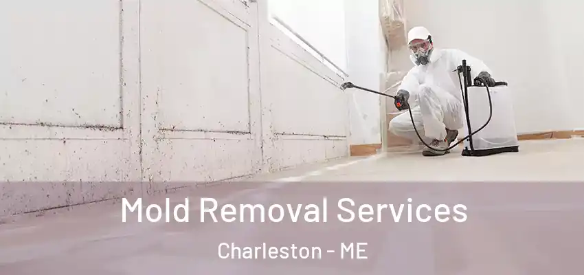  Mold Removal Services Charleston - ME