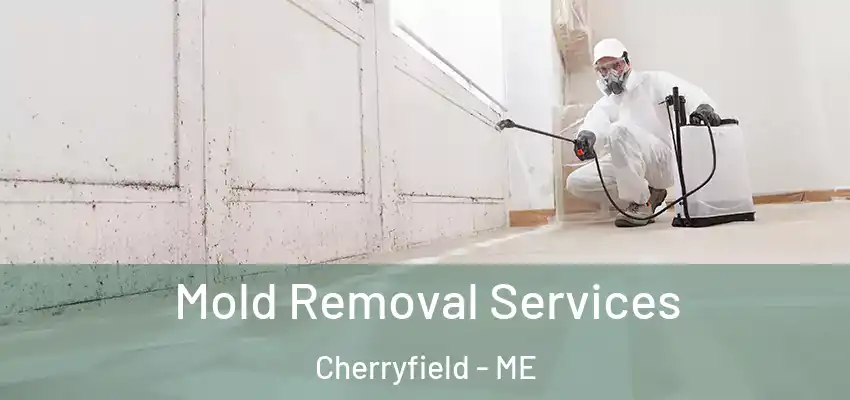  Mold Removal Services Cherryfield - ME