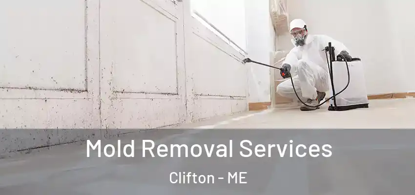  Mold Removal Services Clifton - ME