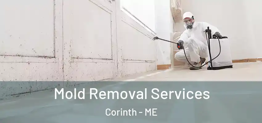  Mold Removal Services Corinth - ME