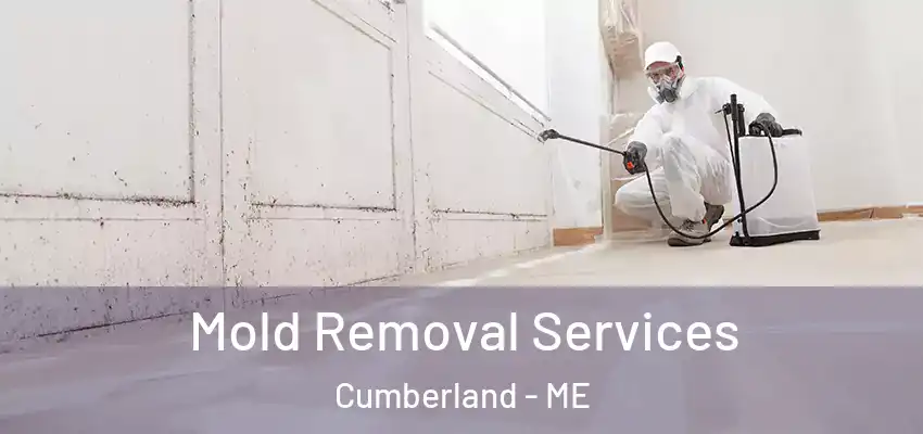 Mold Removal Services Cumberland - ME