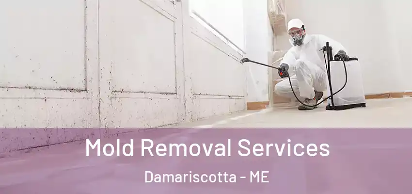 Mold Removal Services Damariscotta - ME