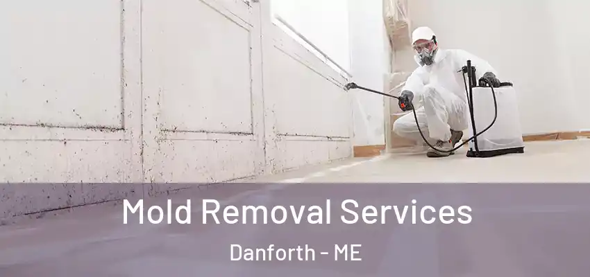  Mold Removal Services Danforth - ME