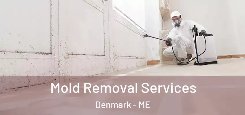  Mold Removal Services Denmark - ME