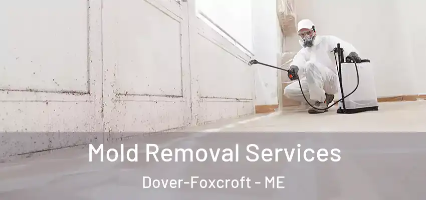 Mold Removal Services Dover-Foxcroft - ME