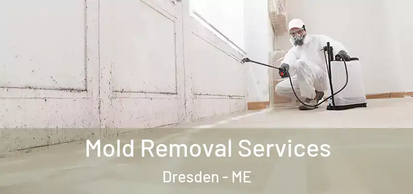  Mold Removal Services Dresden - ME