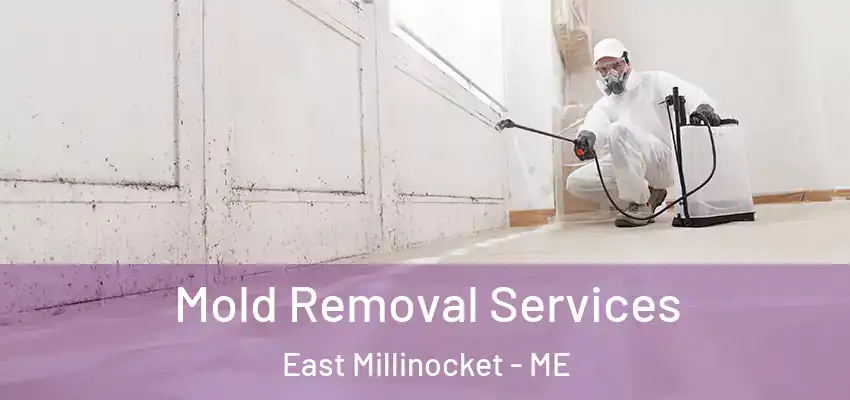 Mold Removal Services East Millinocket - ME