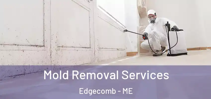  Mold Removal Services Edgecomb - ME