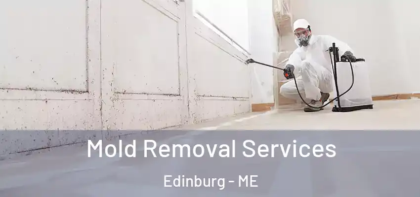 Mold Removal Services Edinburg - ME