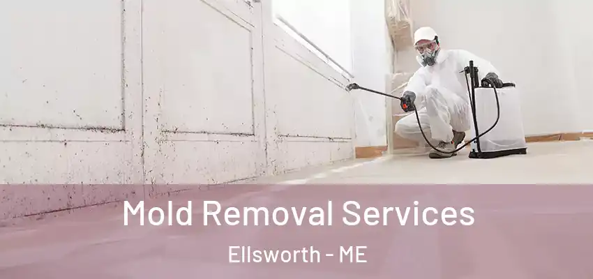  Mold Removal Services Ellsworth - ME