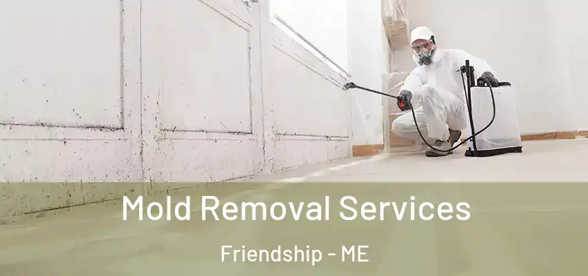 Mold Removal Services Friendship - ME